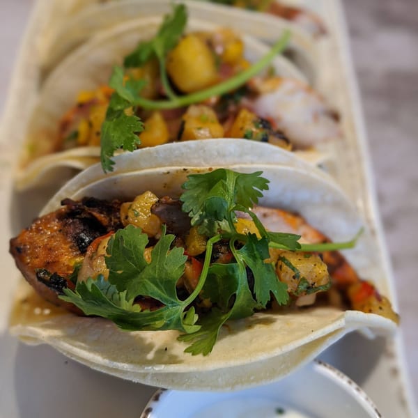 Close-up of three grilled fish tacos with mango salsa and cilantro on a white platter.
